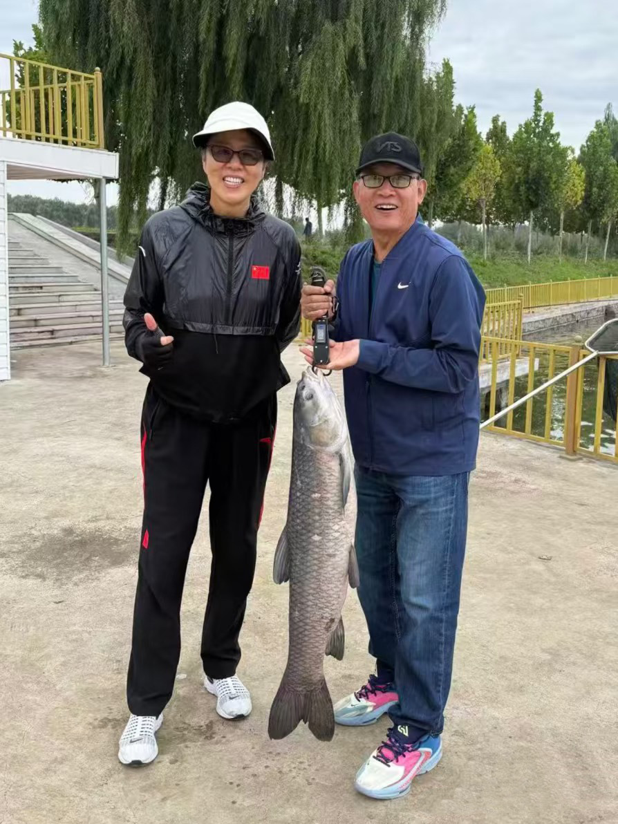 dbOh, 外活动的季, 郎平涉猎的 dbOh, 外活动的季, 郎平涉猎的