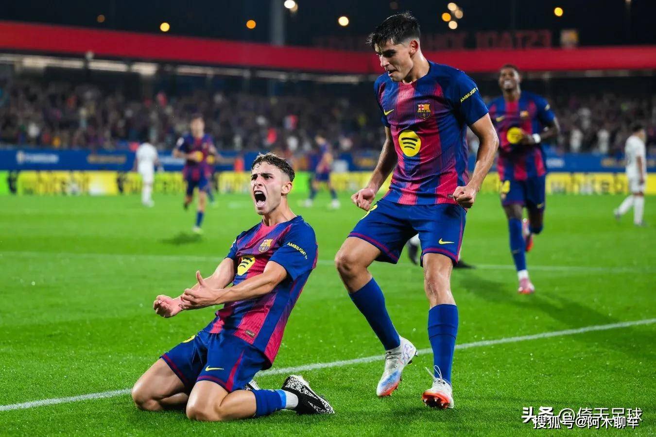 的重要体现, 适应